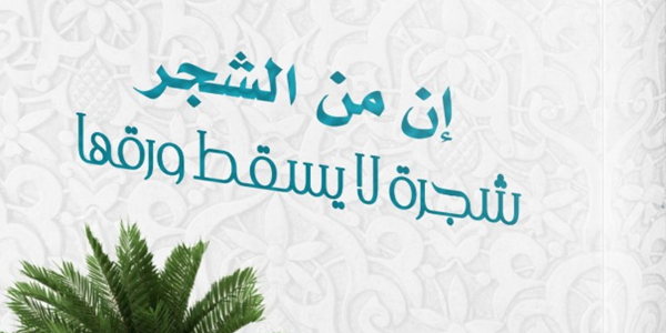 إِنَّ مِنَ الشَّجَرِ شَجَرَةً لَا يَسْقُطُ وَرَقُهَا!